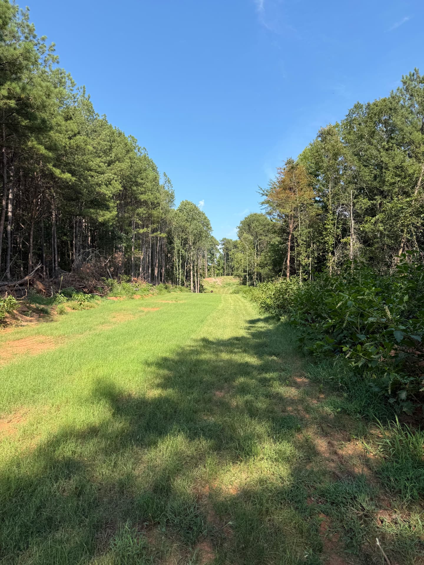 The 500-yard range lane at Fire Ammo in Eastanollee, Georgia